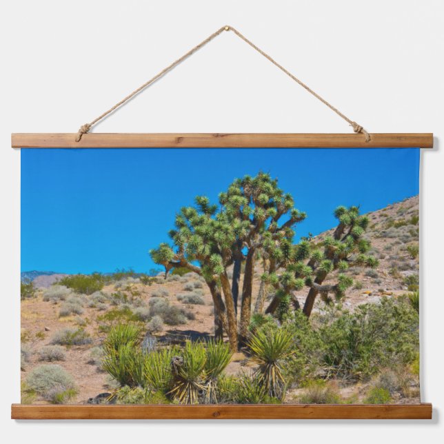 Gold Butte National Monument Wandteppich Mit Holzrahmen (Vorne)