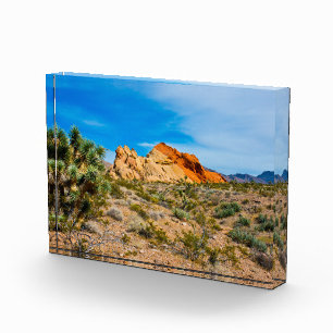 Gold Butte National Monument, Whitney Pocket Fotoblock
