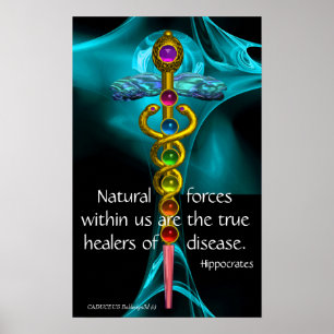 GOLD CADUCEUS UND 7 CHAKRAS IN ROSE MIT BLAUEM FRA POSTER
