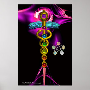 GOLD CADUCEUS UND 7 SCHAKRAS IN PINK FRAKTAL ROSE POSTER