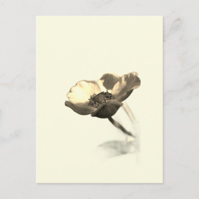 Gold Dream Blume - Wunder der Minimalistischen Nat Postkarte (Vorderseite)