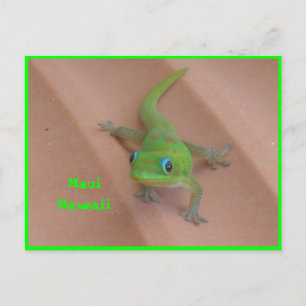 Gold Dust Day Gecko Postkarte