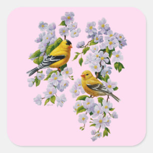 Gold Finch Birds & Apple Tree Pink Quadratischer Aufkleber