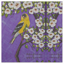 Gold Finch