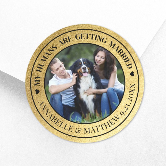 Gold Foto Pet Wedding Save the Date Runder Aufkleber (Dog Photo Pet Gold Wedding Save The Date Classic Round Sticker)