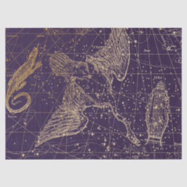 Gold Galaxy Star Map Series Design 12 Seidenpapier