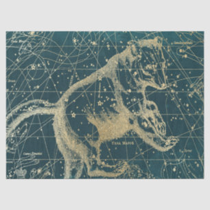Gold Galaxy Star Map Series Design 7 Seidenpapier
