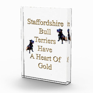 Gold Heart Staffordshire Bull Terrier, Foto Block