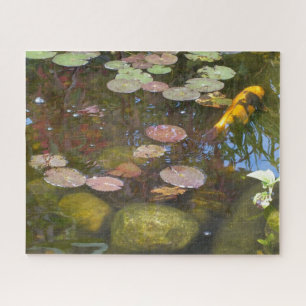 Gold Koi in Lily-Teich