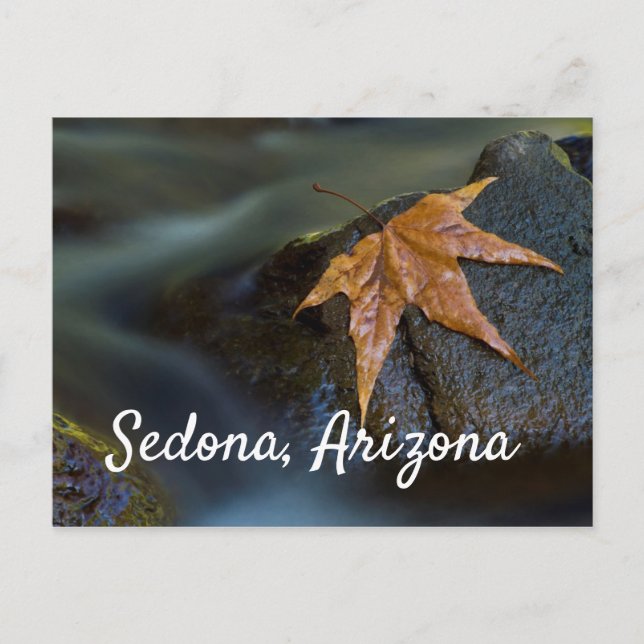 Gold-Leaf in Sedona, Arizona Postkarte (Vorderseite)
