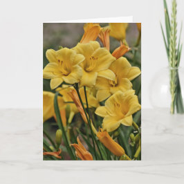 Gold Lily Scripture Card Psalm 119:127 Karte