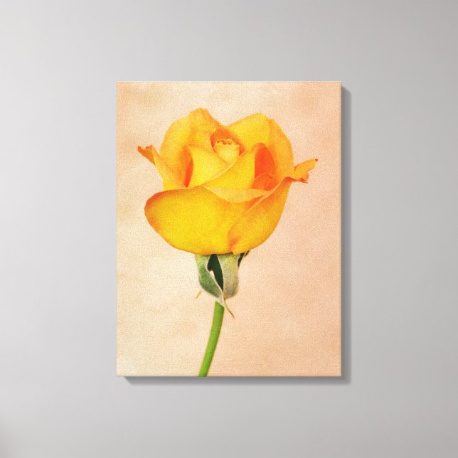 Gold Orange Single Rose Blume Leinwanddruck (Vorderseite)