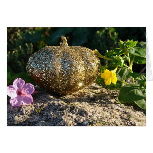 Gold Pumpkin und Vier-Uhr-Blume (Vorderseite (Horizontal))