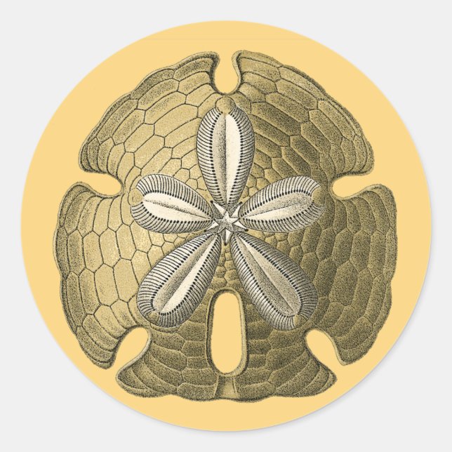 Gold Sand Dollar Runder Aufkleber (Vorderseite)
