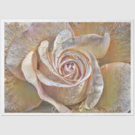 Gold Seide Schöne Rose Kunst, Dichtung und Musik Seidenpapier