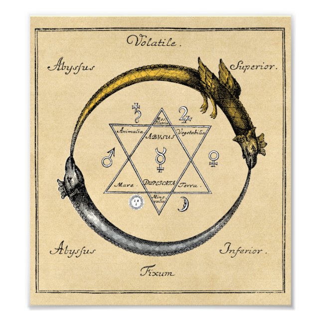Gold & Silver Ouroboros Symbol Fotodruck (Vorne)