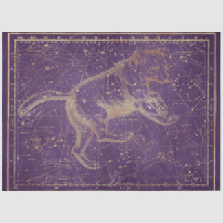 Gold Star Map Design 7 Seidenpapier