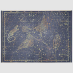 Gold Star Map Series Design 10 Seidenpapier