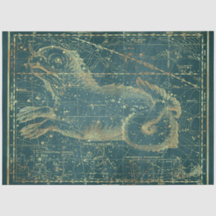 Gold Star Map Series Design 22 Seidenpapier