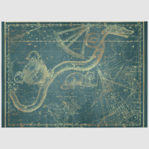 Gold Star Map Series Design 24 Seidenpapier