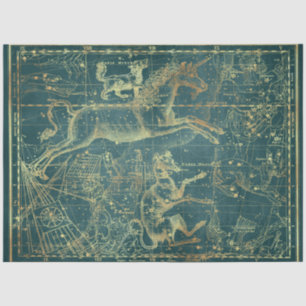 Gold Star Map Series Design 28 Seidenpapier