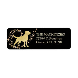 Gold Star Swirl Labrador Retriever Dog