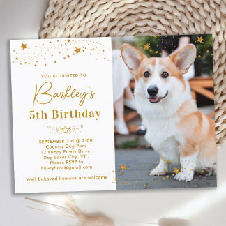 Gold Stars Personalisiertes Tier Foto Hund Geburts Einladungspostkarte