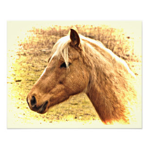 Gold und Brown Horns in Sun Animal Foto Print