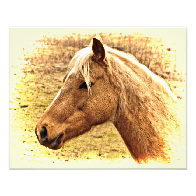 Gold und Brown Horns in Sun Animal Foto Print (Vorne)