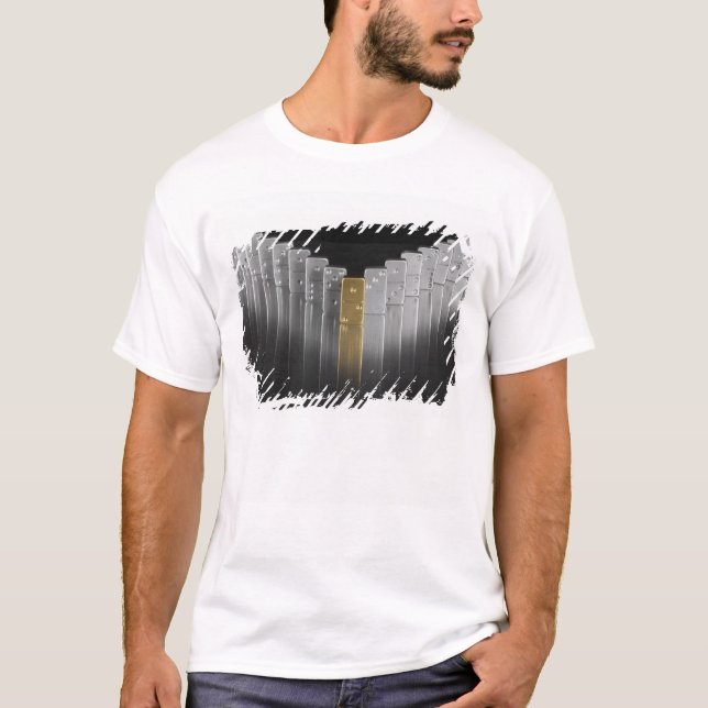 Gold- und Silberdominos T-Shirt (Vorderseite)