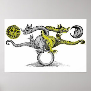 Gold- und Silberdrachen Poster