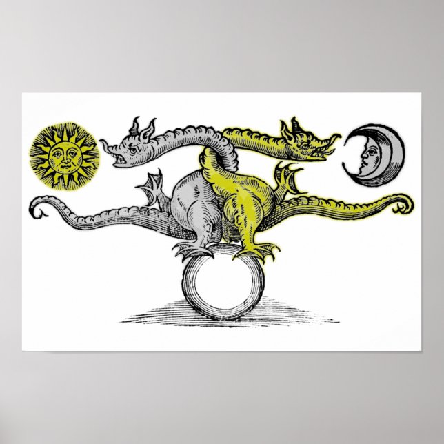 Gold und Silberdrachen Poster (Vorne)
