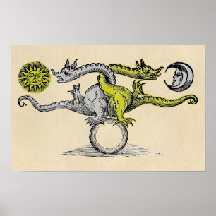 Gold und Silver Dragon Symbol Poster