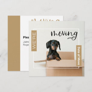 Gold Wir bewegen Dackel Hund in Box Card Dankeskarte