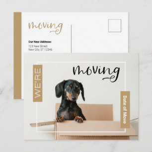 Gold Wir bewegen Dackel Hund in Box Postcard Postkarte