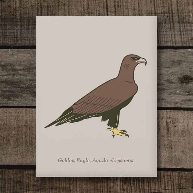 Goldadler Postkarte (Golden Eagle Postcard)