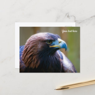 Goldadler-Postkarte Postkarte