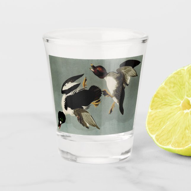Goldaugenente Schnapsglas (Vorderseite)