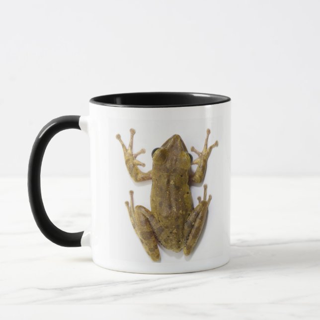 Goldbaumfrosch Tasse (Links)