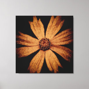 Goldcosmos-Blume auf Schwarz Leinwanddruck