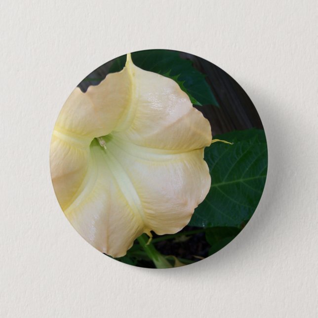 Golden Angels Blume nah Button (Vorderseite)