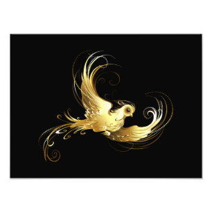 Golden Bird im schwarzen Hintergrund Fotodruck