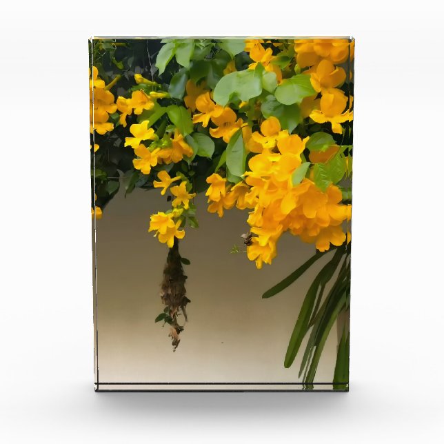 Golden Blossom Beauty Fotoblock (Vorderseite)