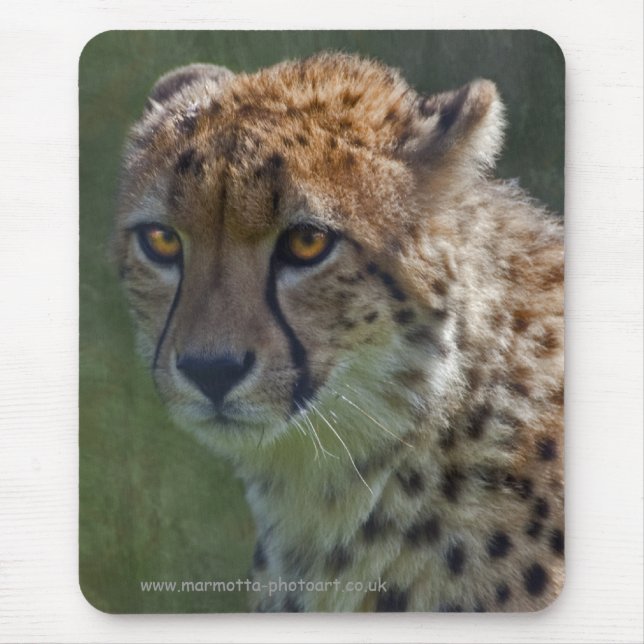 Golden Cheetah Mousemat Mousepad (Vorne)