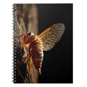 Golden Cicada Wings Notebook Notizblock