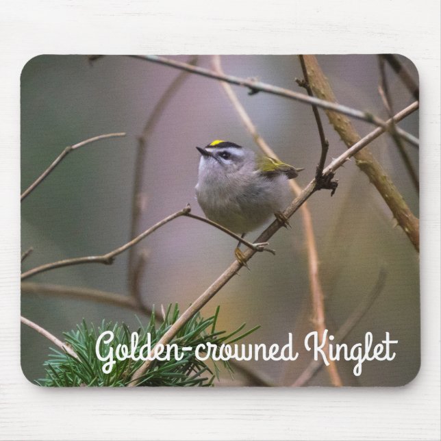 Golden-Crowned Kinglet Mousepad (Vorne)