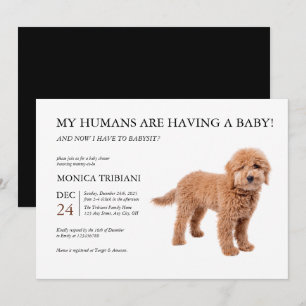 Golden Doodle Baby Dusche Minimalistische Einladun Einladung