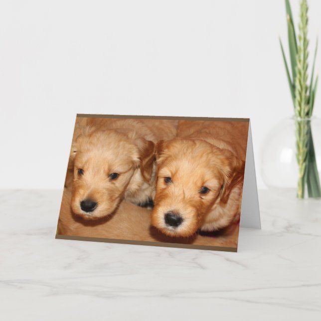 Golden Doodle Denken Sie an Ihre Karte (Vorderseite)