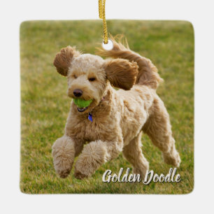 Golden Doodle Dog Keramikornament