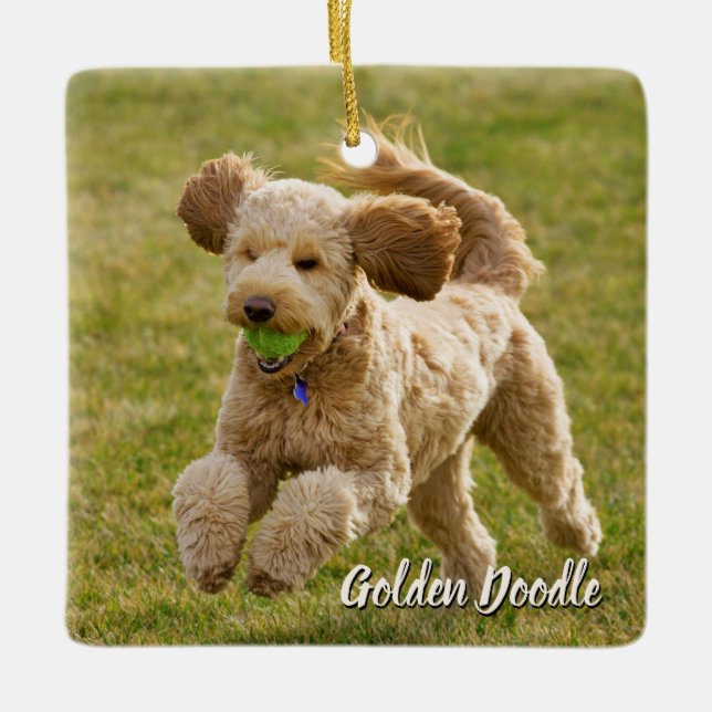 Golden Doodle Dog Keramikornament (Vorderseite)